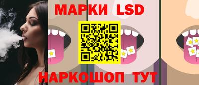 стафф Будённовск