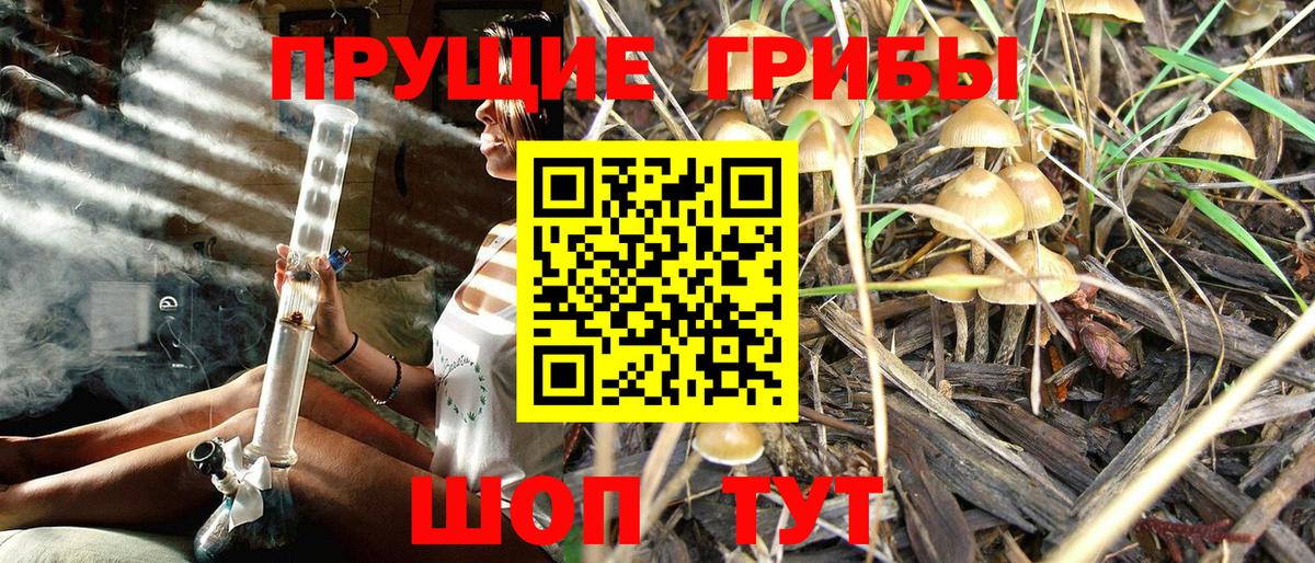 Мирный  где купить наркотик  Вход с VPN  Галлюциногенные грибы Psilocybine cubensis 